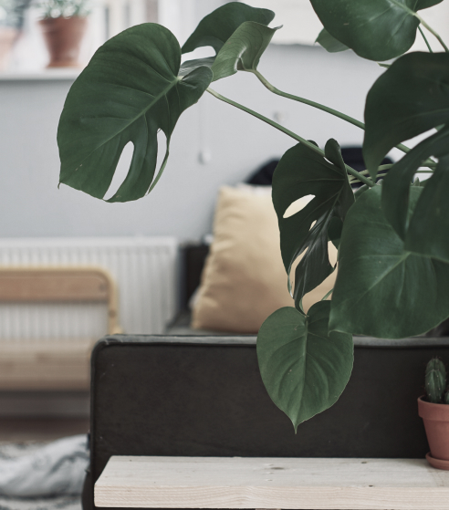 example of our furniture